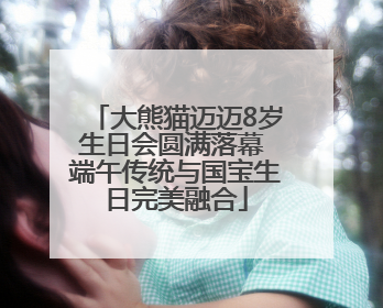 大熊猫迈迈8岁生日会圆满落幕 端午传统与国宝生日完美融合