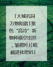 大城名园 万物和谐│紫色“高冷”新物种横空出世，皱褶叶片暗藏进化密码