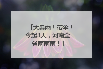 大暴雨！带伞！今起3天，河南全省雨雨雨！