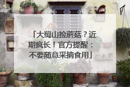 大蜀山捡蘑菇？近期疯长！官方提醒：不要随意采摘食用