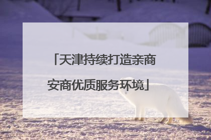 天津持续打造亲商安商优质服务环境
