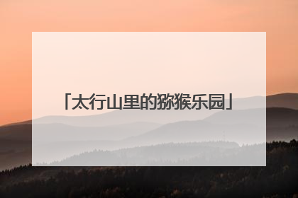 太行山里的猕猴乐园