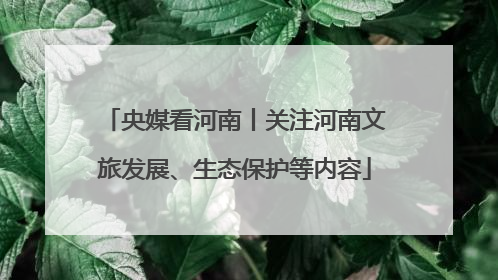 央媒看河南丨关注河南文旅发展、生态保护等内容