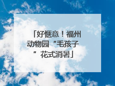 好惬意！福州动物园“毛孩子”花式消暑