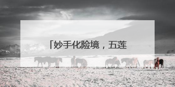 妙手化险境，五莲县人民医院多科协作成功救治高危患者