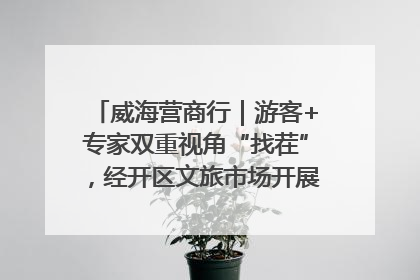 威海营商行｜游客+专家双重视角“找茬”，经开区文旅市场开展暑期前“体检”