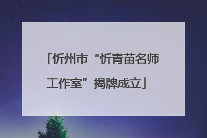 忻州市“忻青苗名师工作室”揭牌成立