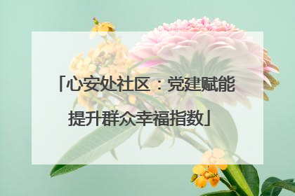 心安处社区：党建赋能 提升群众幸福指数