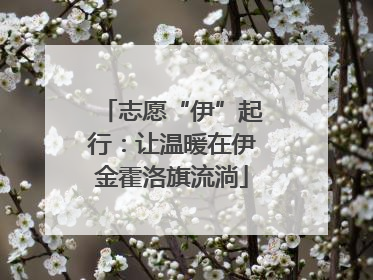 志愿“伊”起行：让温暖在伊金霍洛旗流淌