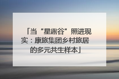 当“星露谷”照进现实：康旅集团乡村旅居的多元共生样本