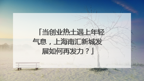 当创业热土遇上年轻气息，上海南汇新城发展如何再发力？