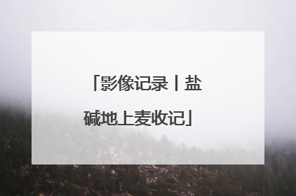 影像记录丨盐碱地上麦收记
