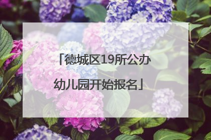 德城区19所公办幼儿园开始报名