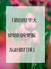 德国驻华大使馆回应樊振东赴德打球
