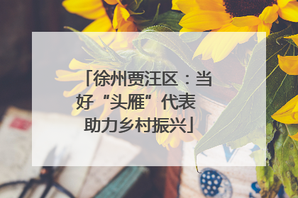 徐州贾汪区：当好“头雁”代表 助力乡村振兴
