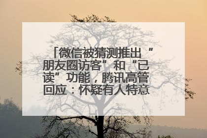 微信被猜测推出“朋友圈访客”和“已读”功能，腾讯高管回应：怀疑有人特意反复翻炒流量