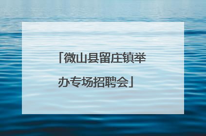 微山县留庄镇举办专场招聘会