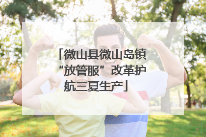 微山县微山岛镇“放管服”改革护航三夏生产