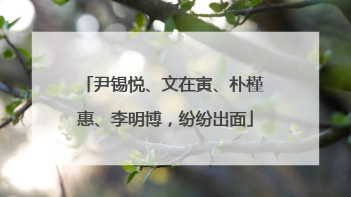 尹锡悦、文在寅、朴槿惠、李明博，纷纷出面