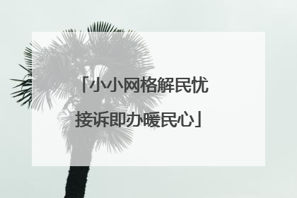 小小网格解民忧 接诉即办暖民心