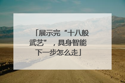 展示完“十八般武艺”，具身智能下一步怎么走