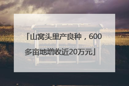 山窝头里产良种，600多亩地增收近20万元