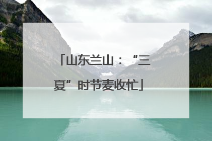 山东兰山：“三夏”时节麦收忙