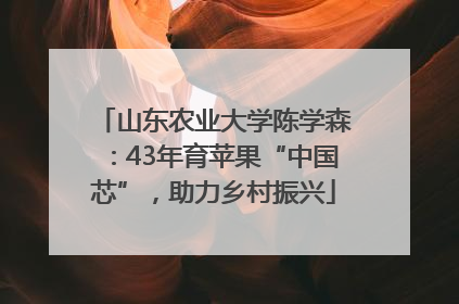 山东农业大学陈学森：43年育苹果“中国芯”，助力乡村振兴