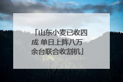 山东小麦已收四成 单日上阵八万余台联合收割机