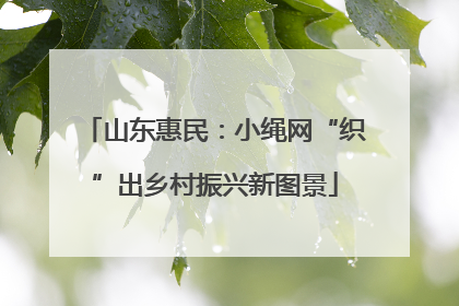 山东惠民：小绳网“织”出乡村振兴新图景