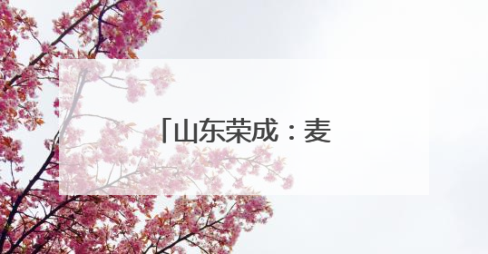 山东荣成：麦浪翻金抢收忙