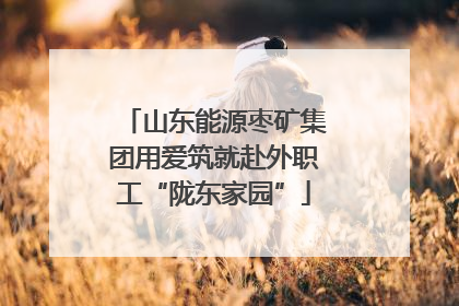 山东能源枣矿集团用爱筑就赴外职工“陇东家园”