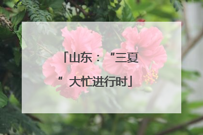 山东：“三夏”大忙进行时