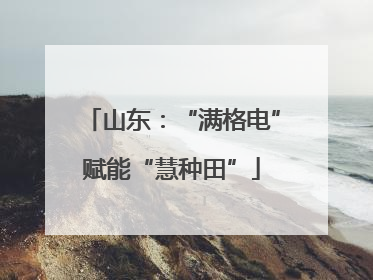 山东：“满格电”赋能“慧种田”