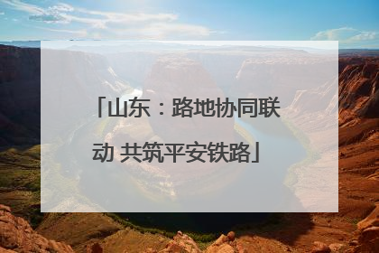 山东：路地协同联动 共筑平安铁路
