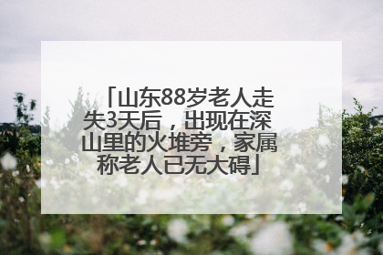 山东88岁老人走失3天后，出现在深山里的火堆旁，家属称老人已无大碍