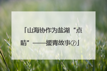 山海协作为盐湖“点睛”——援青故事⑦