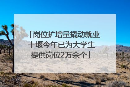 岗位扩增量撬动就业 十堰今年已为大学生提供岗位2万余个