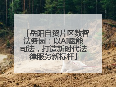 岳阳自贸片区数智法务园：以AI赋能司法，打造新时代法律服务新标杆