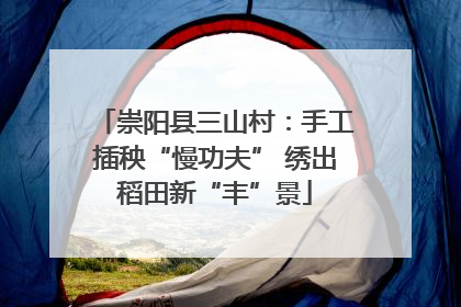 崇阳县三山村：手工插秧“慢功夫” 绣出稻田新“丰”景