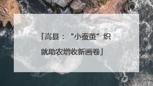 嵩县：“小蚕茧”织就助农增收新画卷