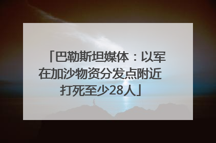 巴勒斯坦媒体：以军在加沙物资分发点附近打死至少28人