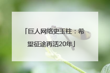巨人网络史玉柱：希望征途再活20年