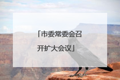 市委常委会召开扩大会议