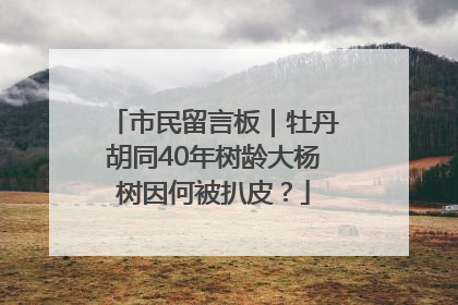 市民留言板｜牡丹胡同40年树龄大杨树因何被扒皮？