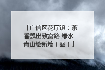 广信区花厅镇：茶香飘出致富路 绿水青山绘新篇（图）