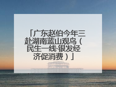 广东赵伯今年三赴湖南蓝山观鸟（民生一线·银发经济促消费）