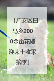 广安区白马乡2000余亩花椒迎来丰收采摘季