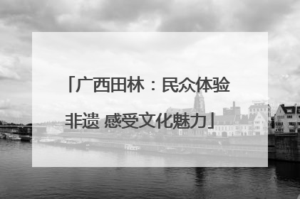 广西田林：民众体验非遗 感受文化魅力