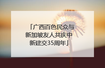 广西百色民众与新加坡友人共庆中新建交35周年